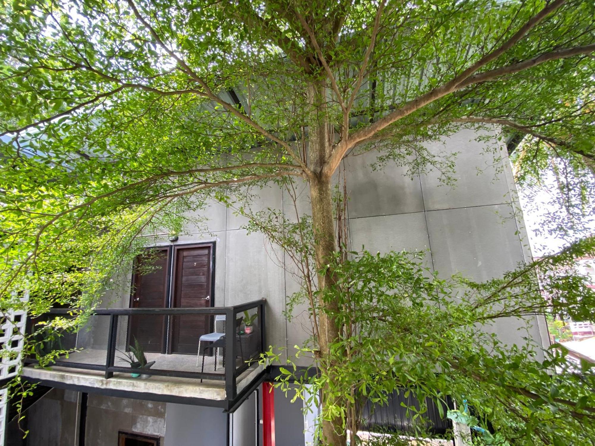 Nokhook House Hostel Trang Luaran gambar